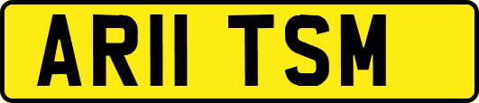 AR11TSM