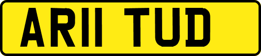 AR11TUD