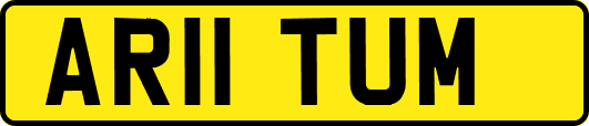 AR11TUM