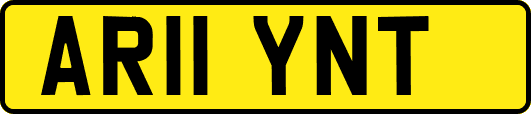 AR11YNT