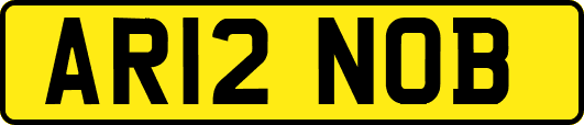 AR12NOB