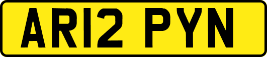 AR12PYN