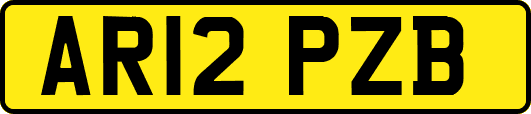 AR12PZB