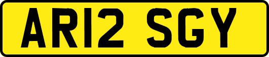 AR12SGY