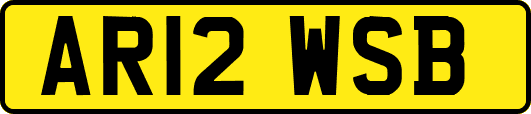 AR12WSB