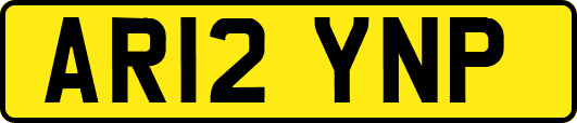AR12YNP