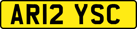 AR12YSC