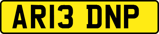 AR13DNP