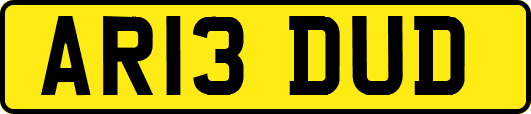 AR13DUD