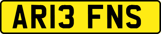 AR13FNS