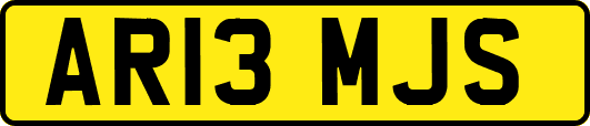 AR13MJS