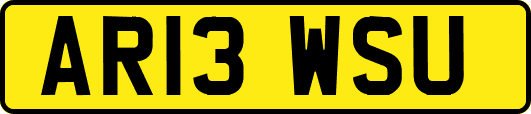 AR13WSU