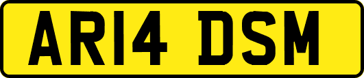 AR14DSM