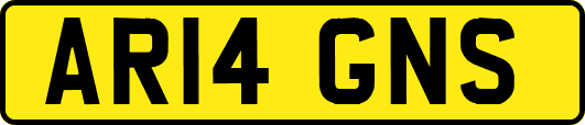 AR14GNS