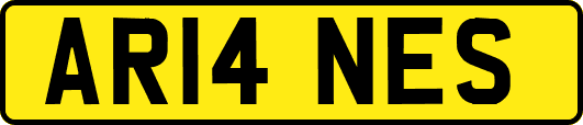 AR14NES
