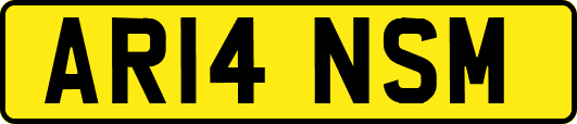 AR14NSM