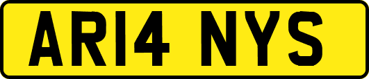 AR14NYS