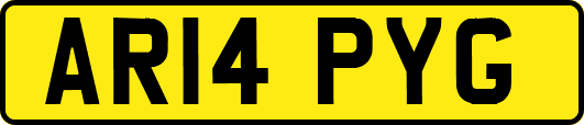 AR14PYG
