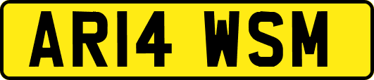 AR14WSM