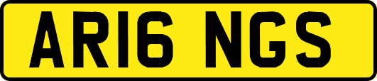 AR16NGS
