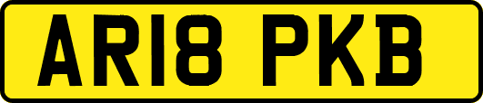 AR18PKB