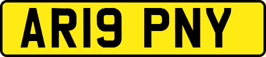 AR19PNY