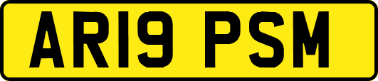 AR19PSM