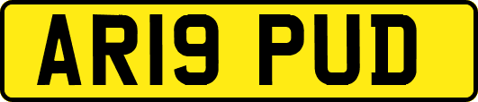 AR19PUD