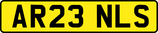 AR23NLS