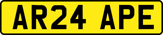 AR24APE