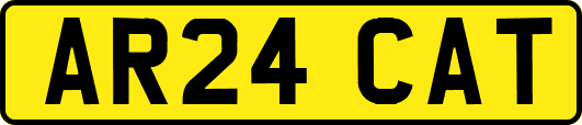 AR24CAT