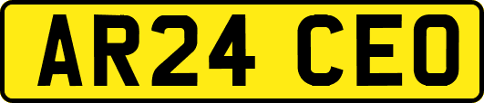 AR24CEO