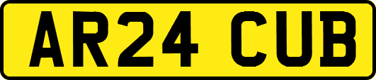 AR24CUB