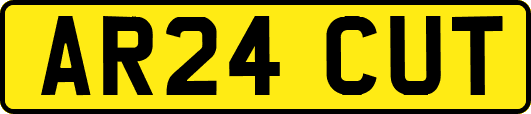 AR24CUT