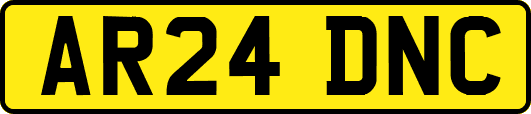 AR24DNC