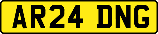 AR24DNG