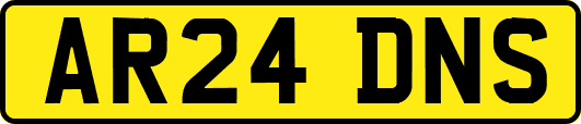 AR24DNS
