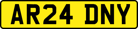 AR24DNY