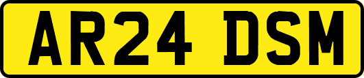 AR24DSM