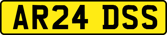 AR24DSS