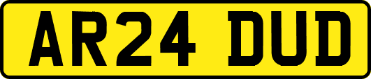 AR24DUD