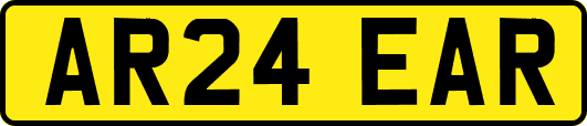 AR24EAR