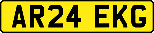 AR24EKG