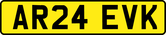 AR24EVK