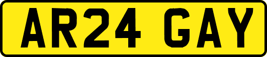 AR24GAY
