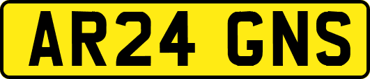 AR24GNS