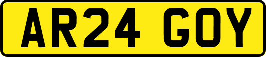 AR24GOY