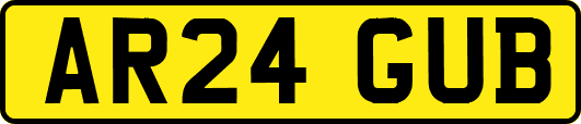 AR24GUB