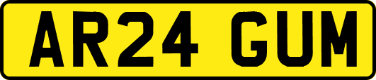 AR24GUM