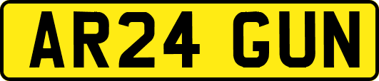 AR24GUN